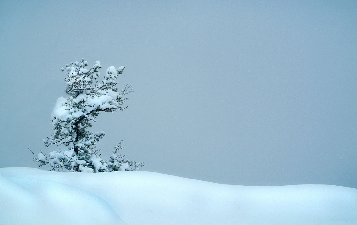 А за туманом - большой каньён..