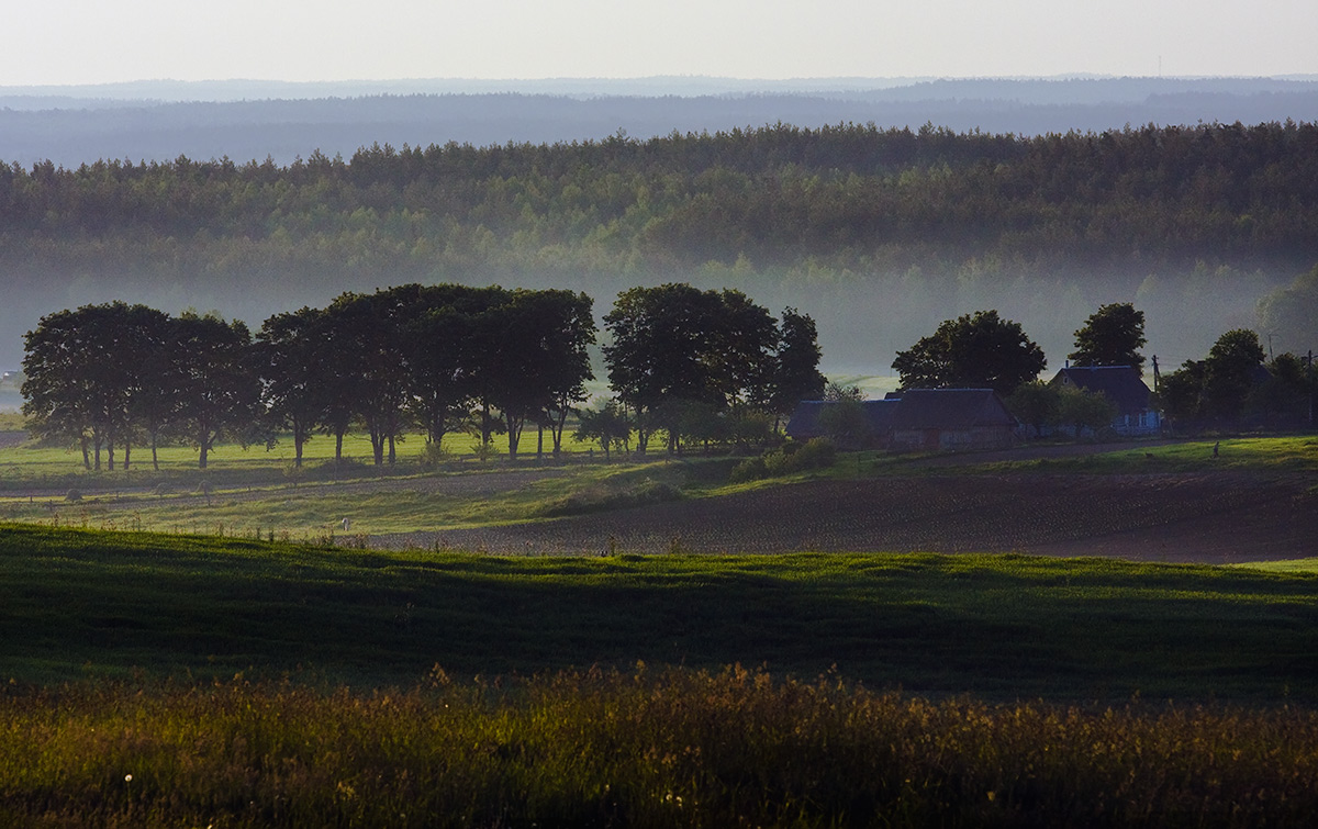 Утренние  планы
