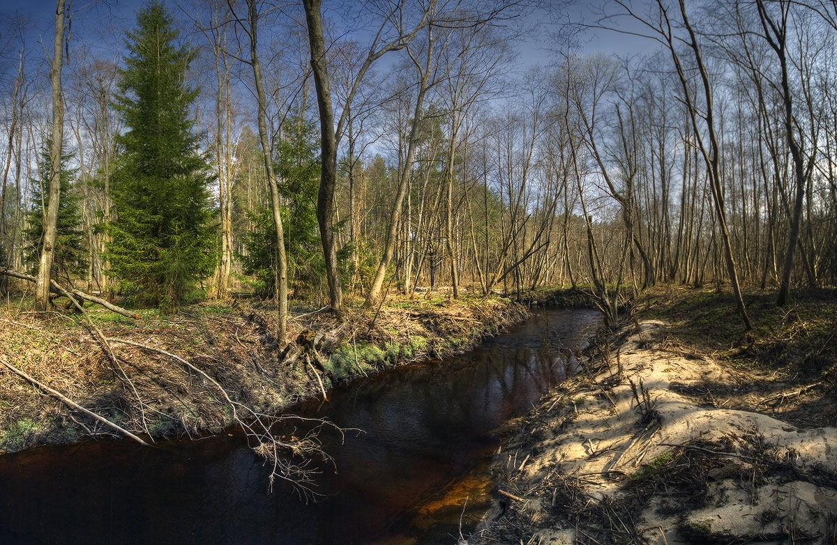 |   Лесная река   |