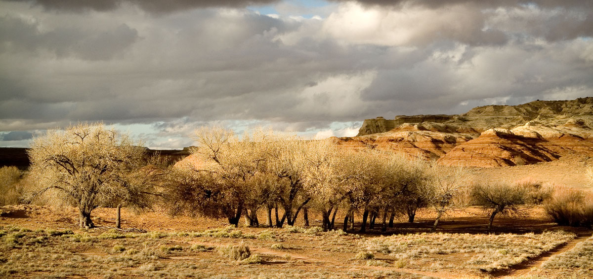 а были сады...