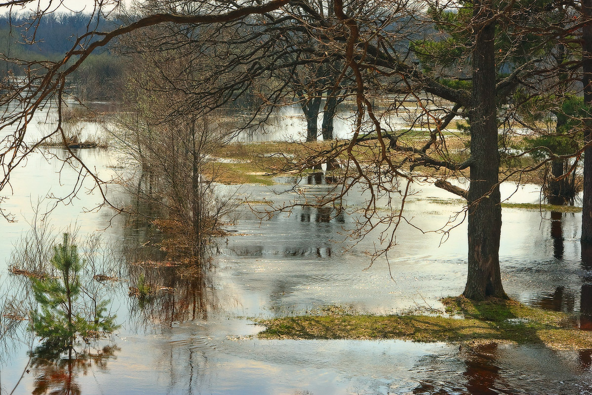 Весна Березина Разлив