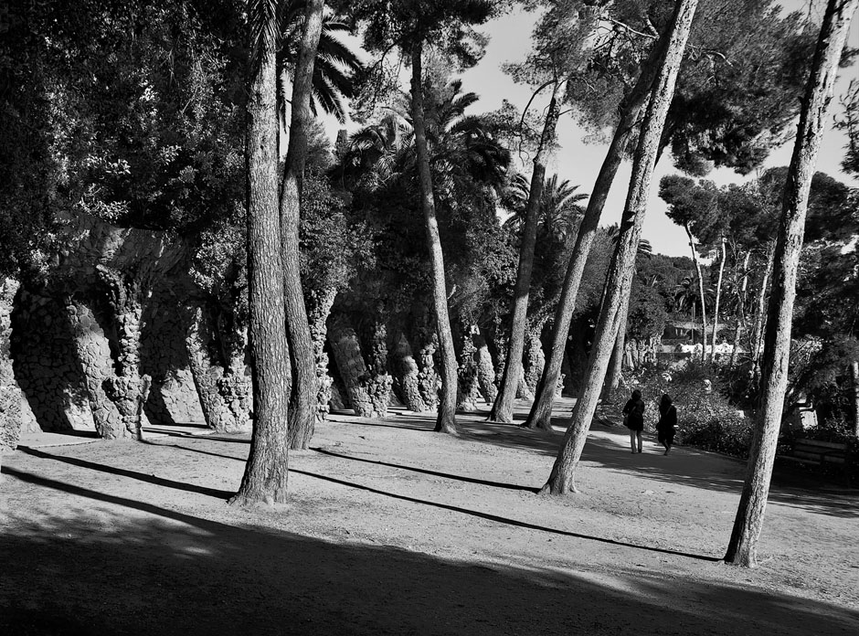 Свет и тени