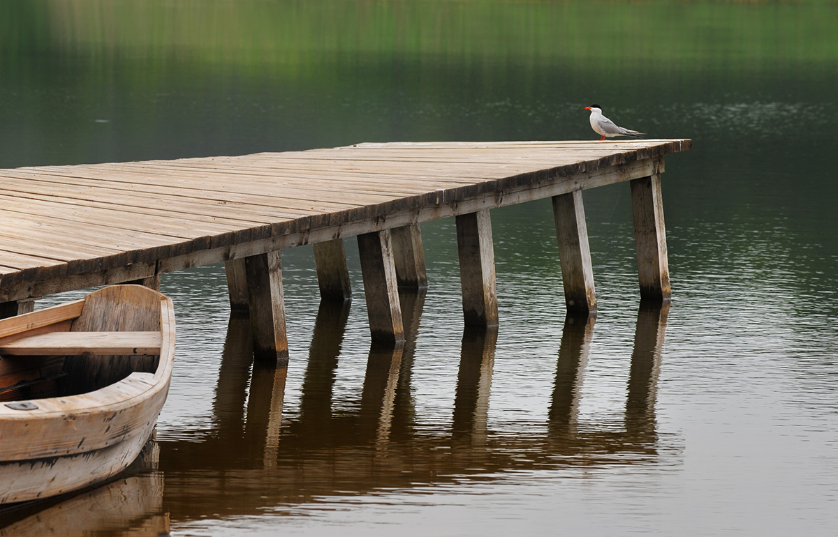Носом к ветру
