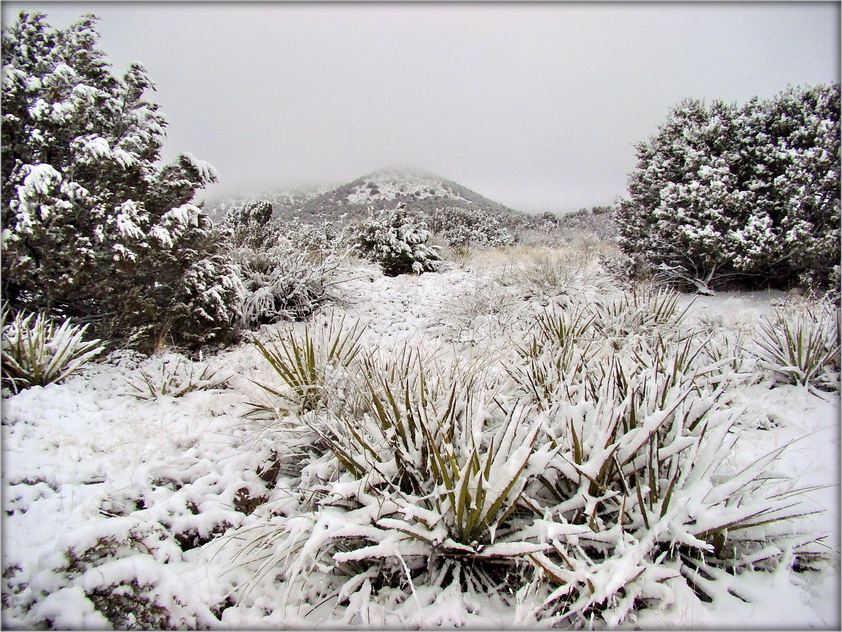 Ню Мескіка. снегавы ўдар