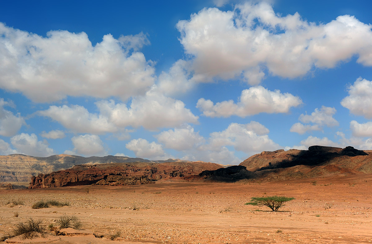 Безлюдный край