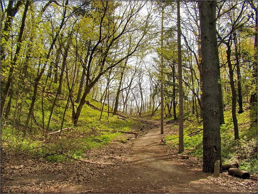 ізноў вясна на белым сьвеце...