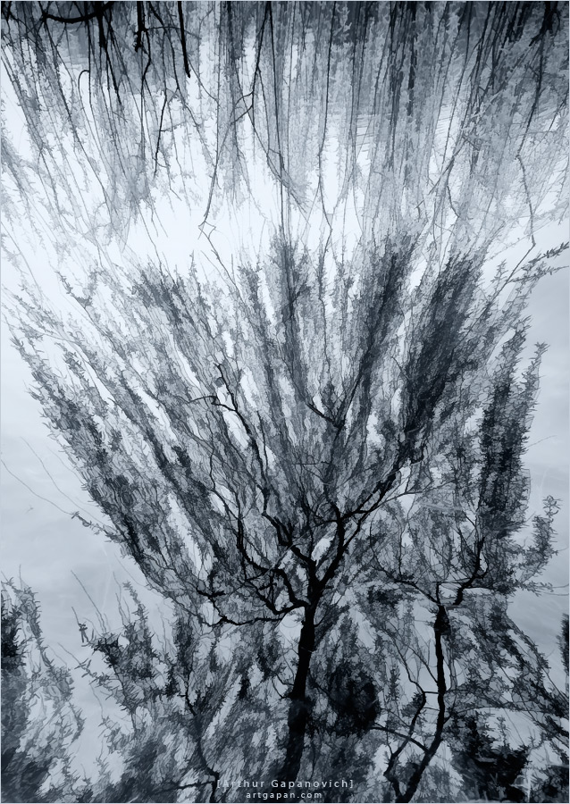 [ 私の手が風に振る ]