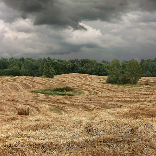 Соломенные узоры