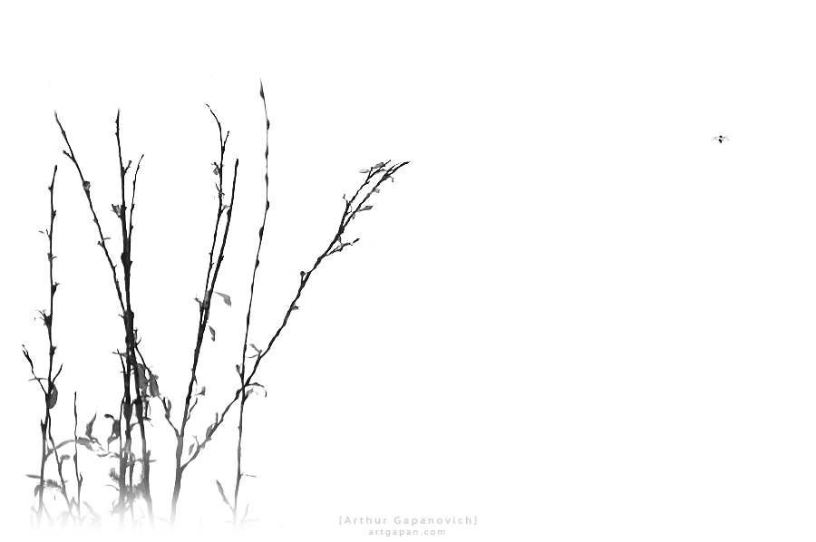 [ 白い水の上を歩く ]