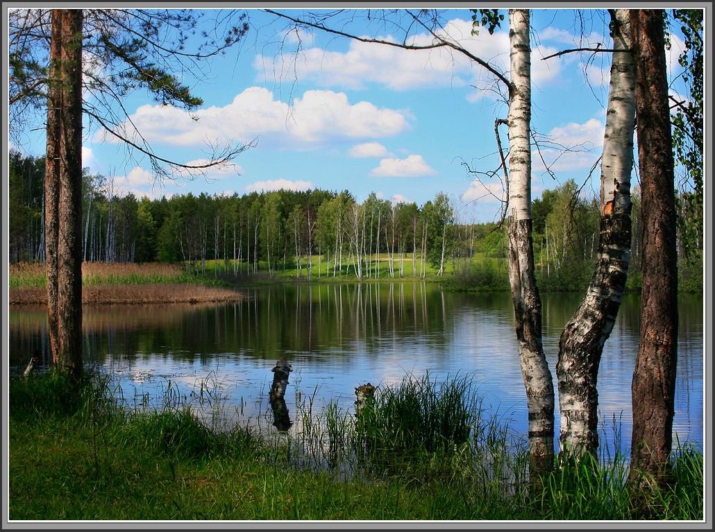 Погожий денек