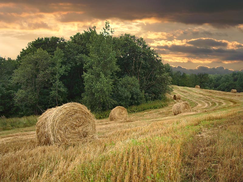 Августовский закат