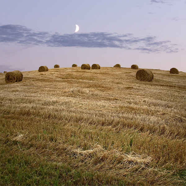 Пейзаж после битвы
