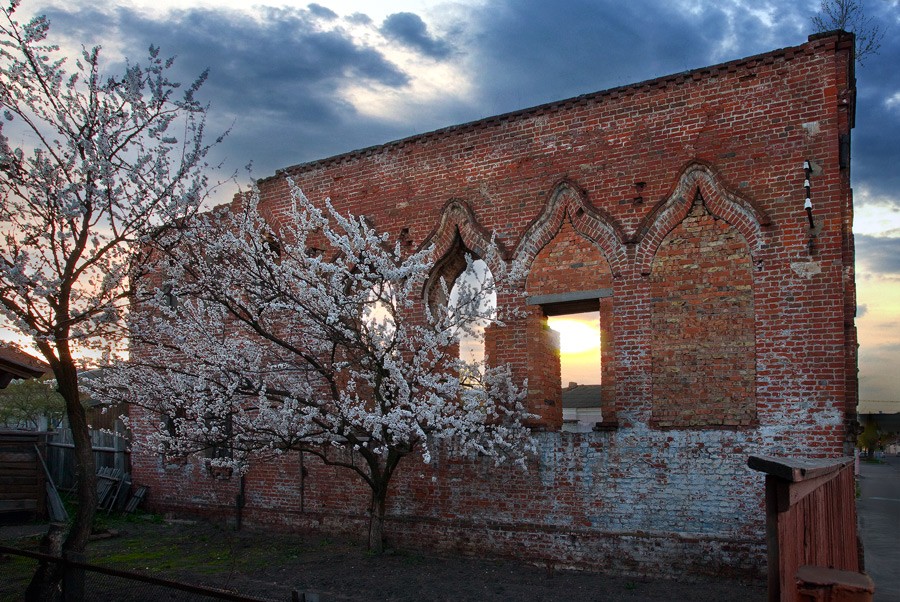 ТЕРПЕЛИВЫЙ  СТРАЖ