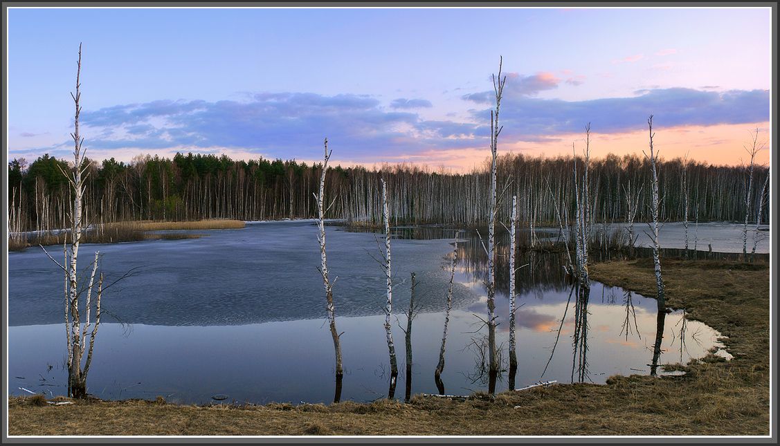 Апрель. Саврвсово.