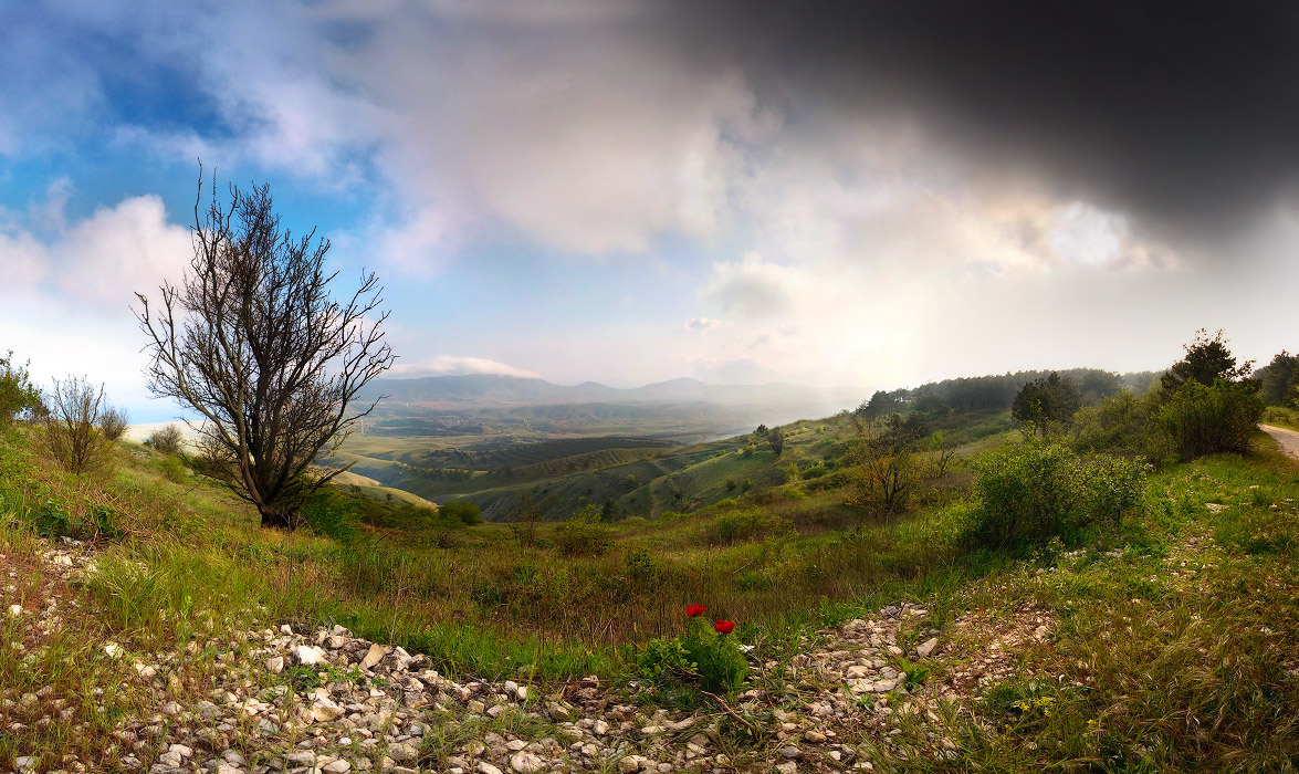 Весенне - крымская с пионом