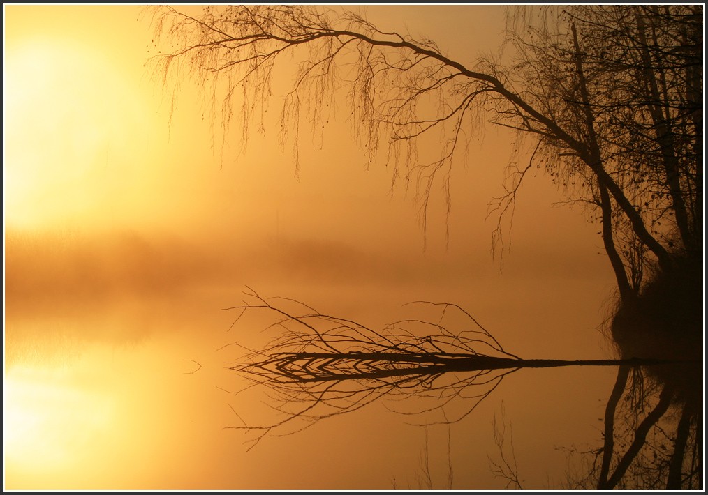 Туманное утро.