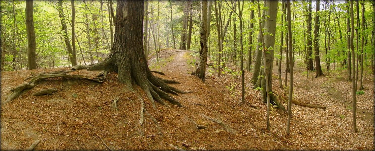 прасторна і ціха