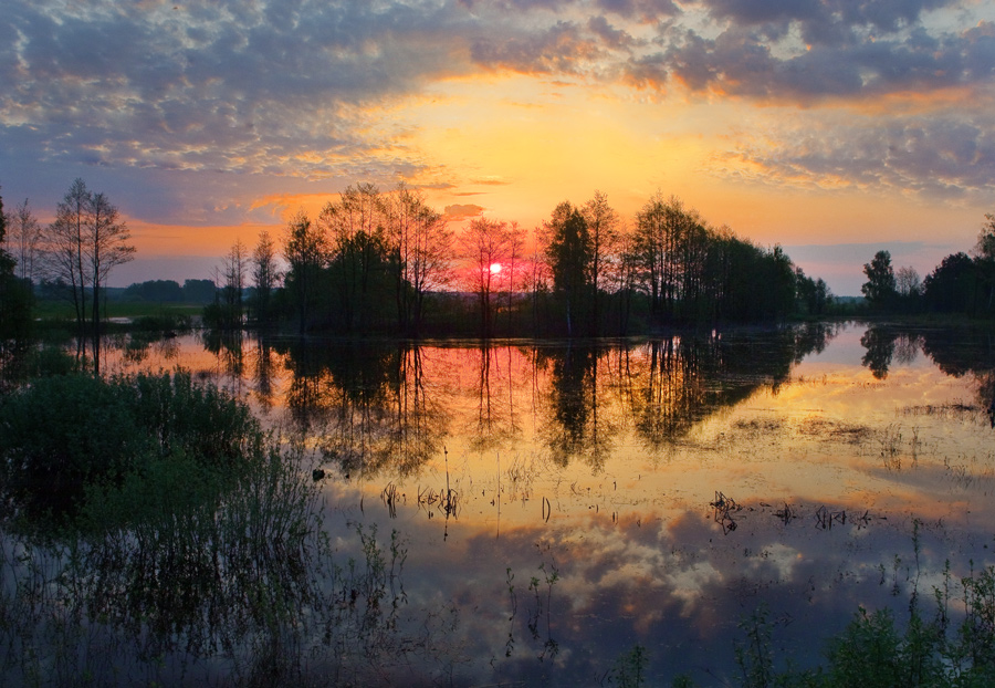 УТРО ВСТАЁТ