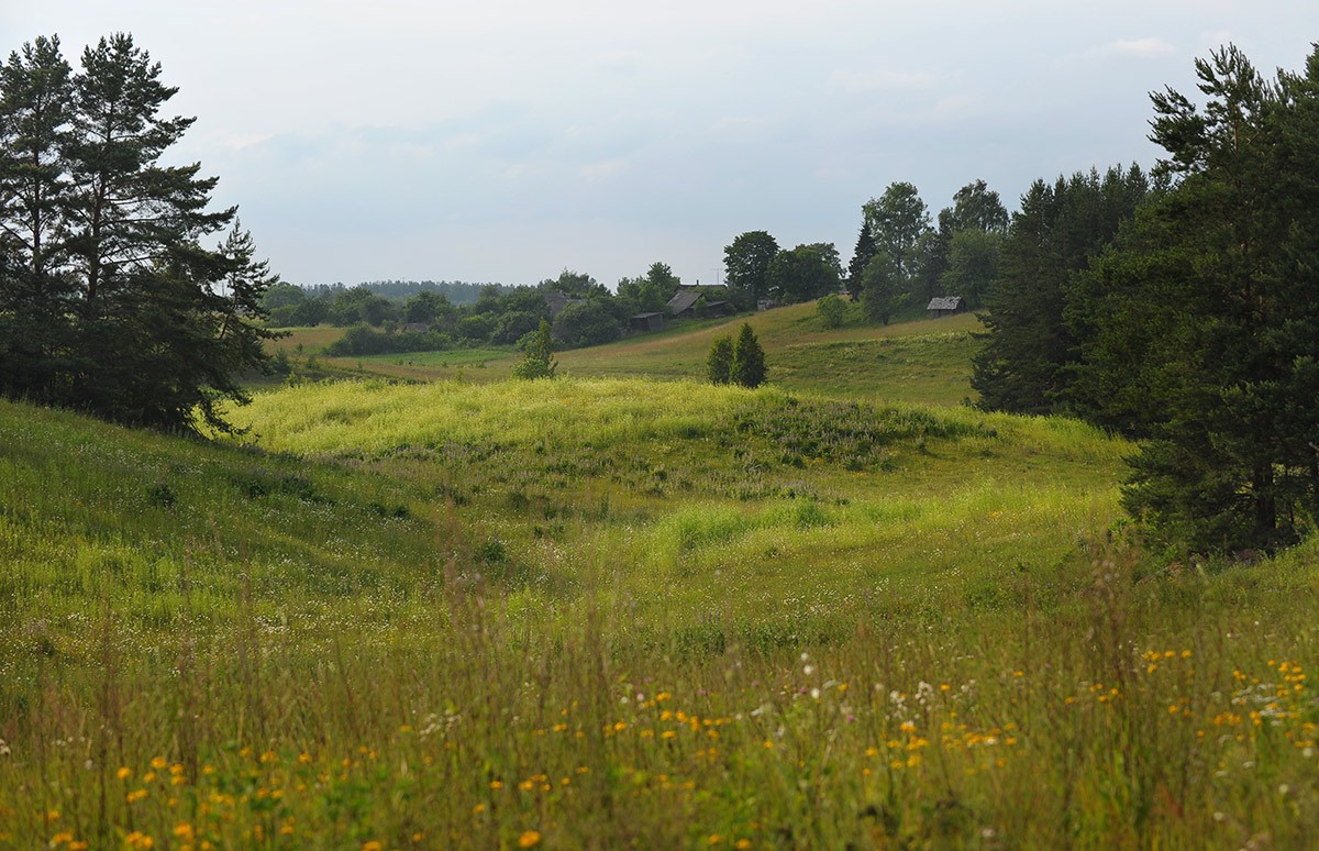 Жизнь в гармонии