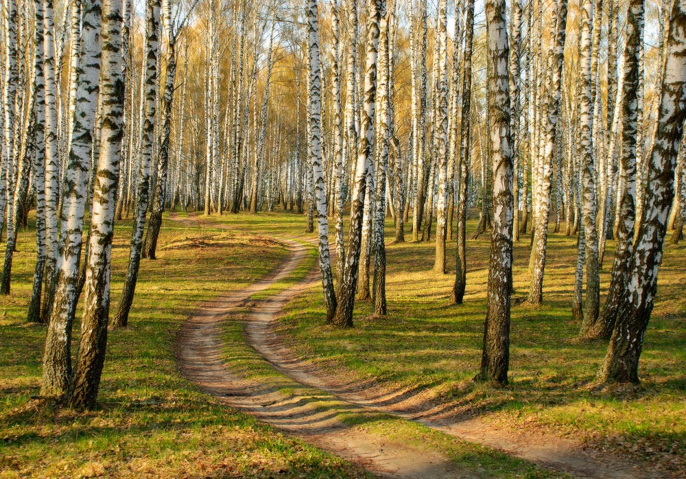 Золотая весна