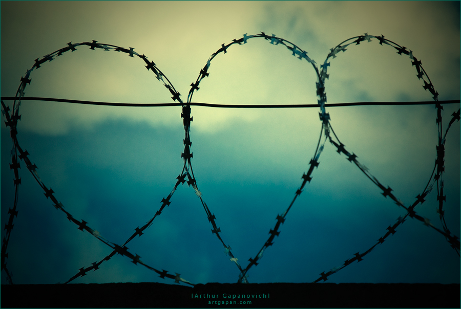 [ これらのさまざまな心 ]