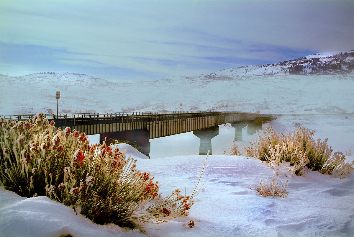 Берег левый, берег правый..