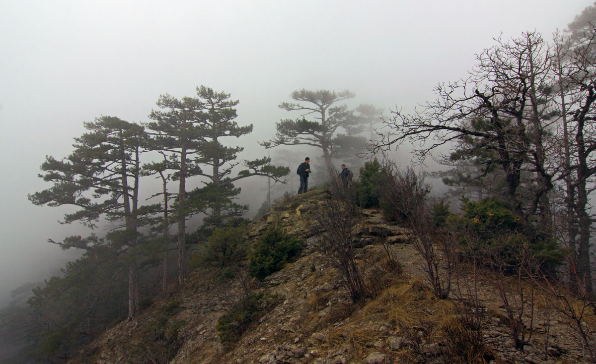 На Южных склонах Ай-Петри