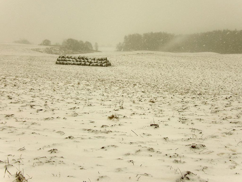 В поле метель