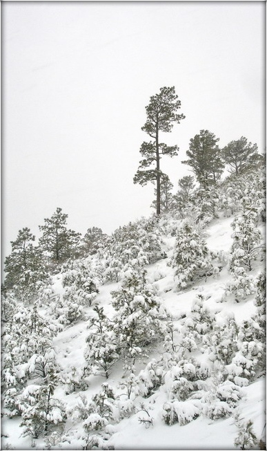 32-я паралель ..2