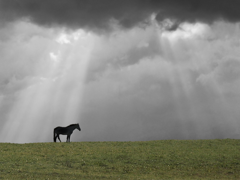Третья печать