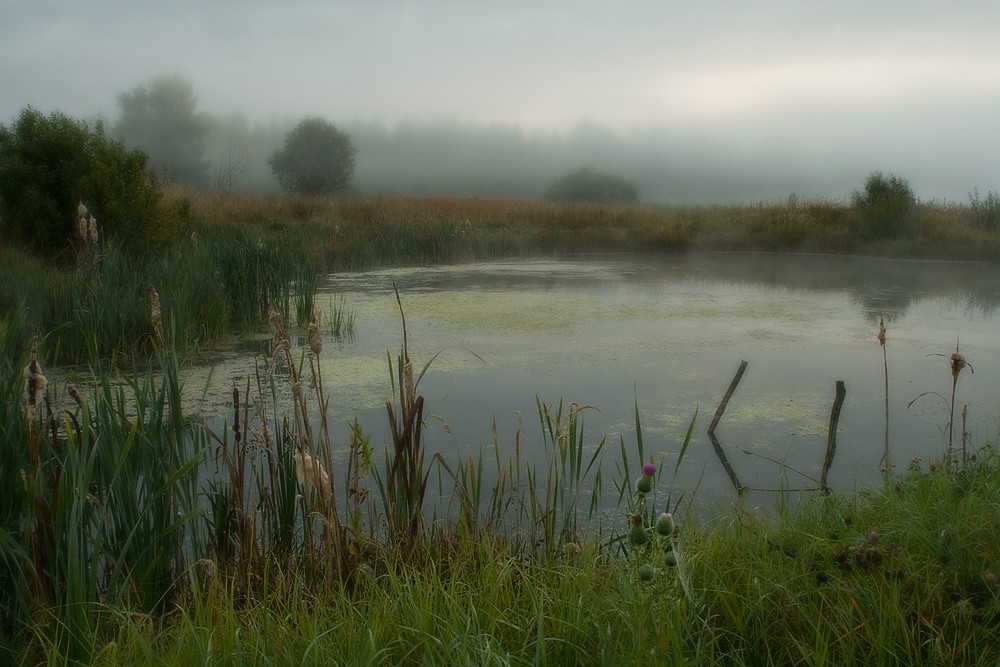 В ожидании восхода.