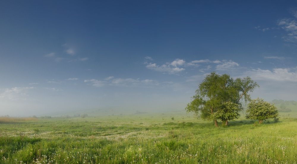 Безмятежное Утро