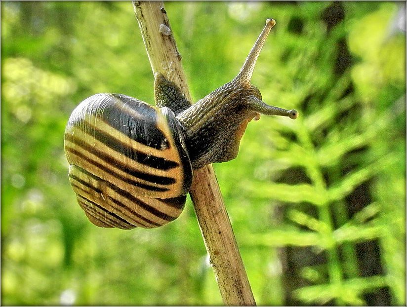 этот большой мир!