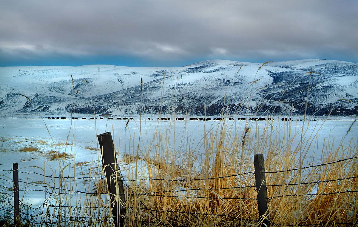 жить за забором