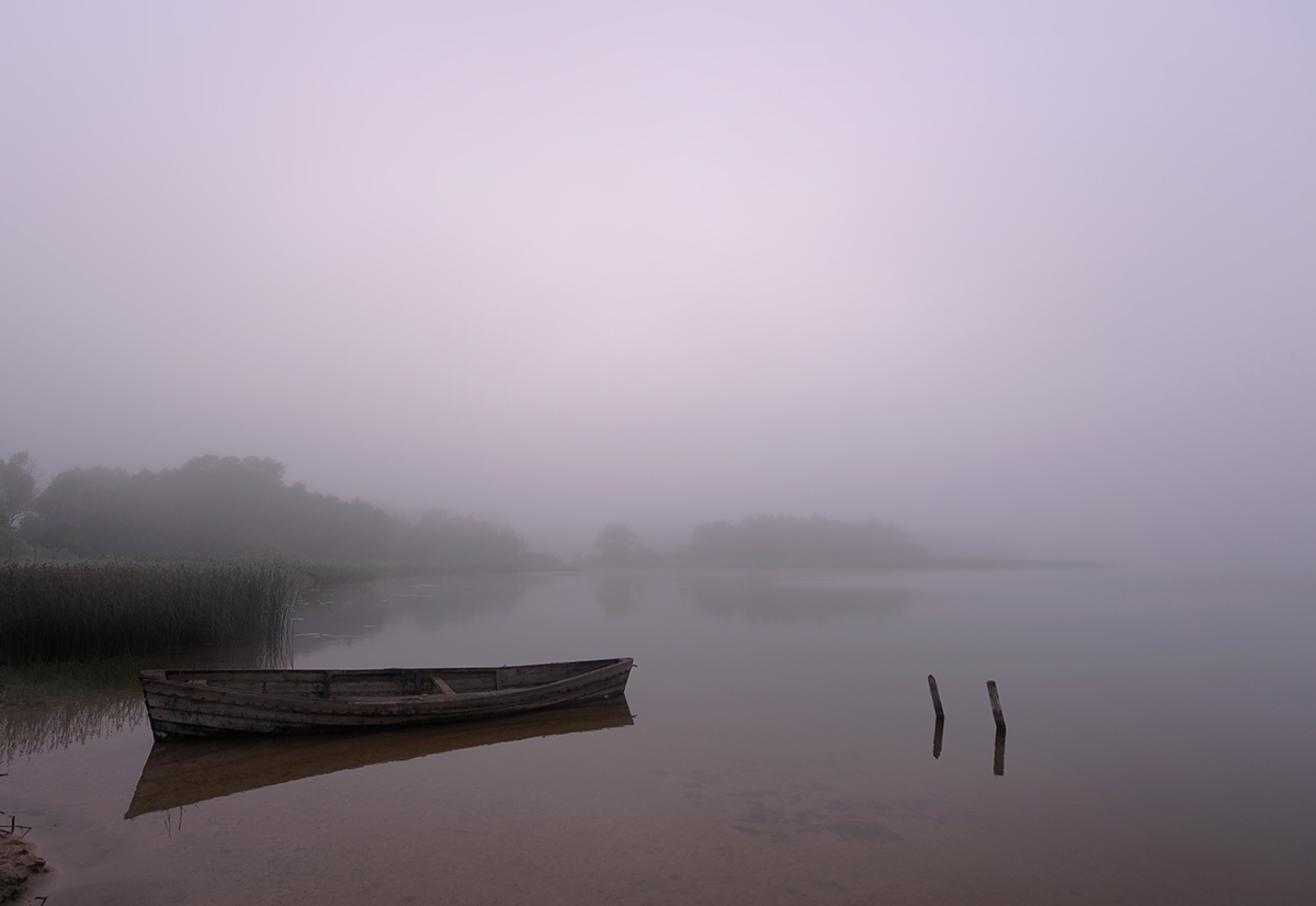 Утро   надежд