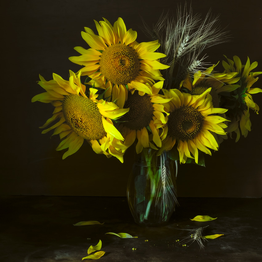 Подсолнухи