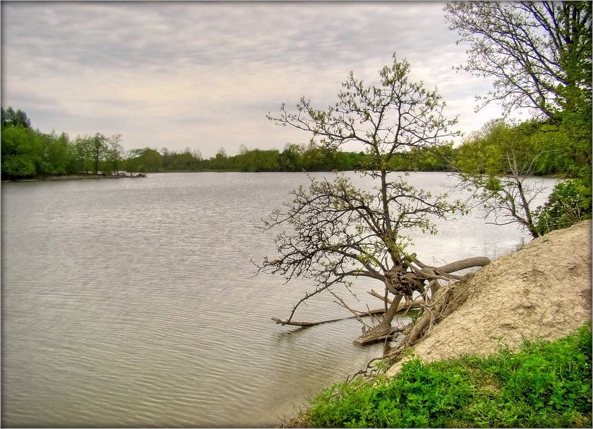 аб сэнсе жыцьця спытайся таго, хто раз ужо паміраў