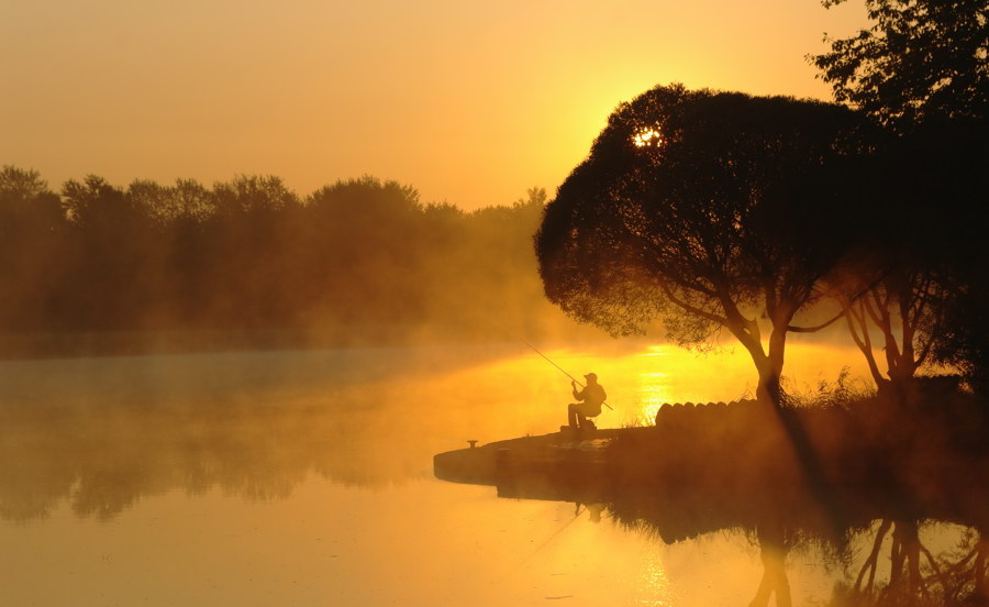 посреди города.. островок.