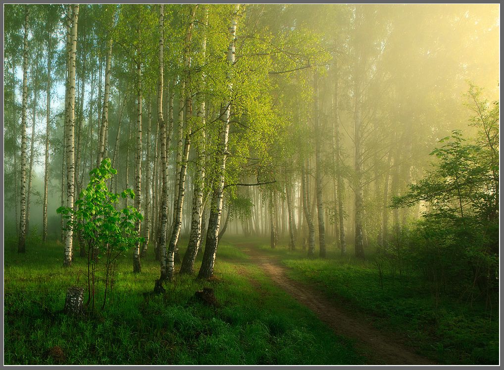 Туман уходит постепенно..