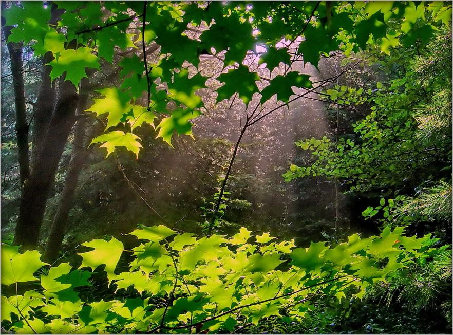 вось і лета прыйшло!..