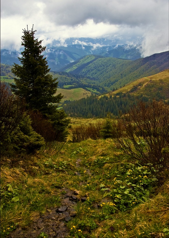 А когда туман рассеялся..