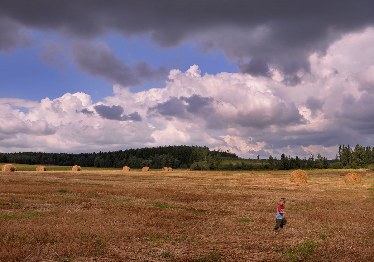 Про колобка