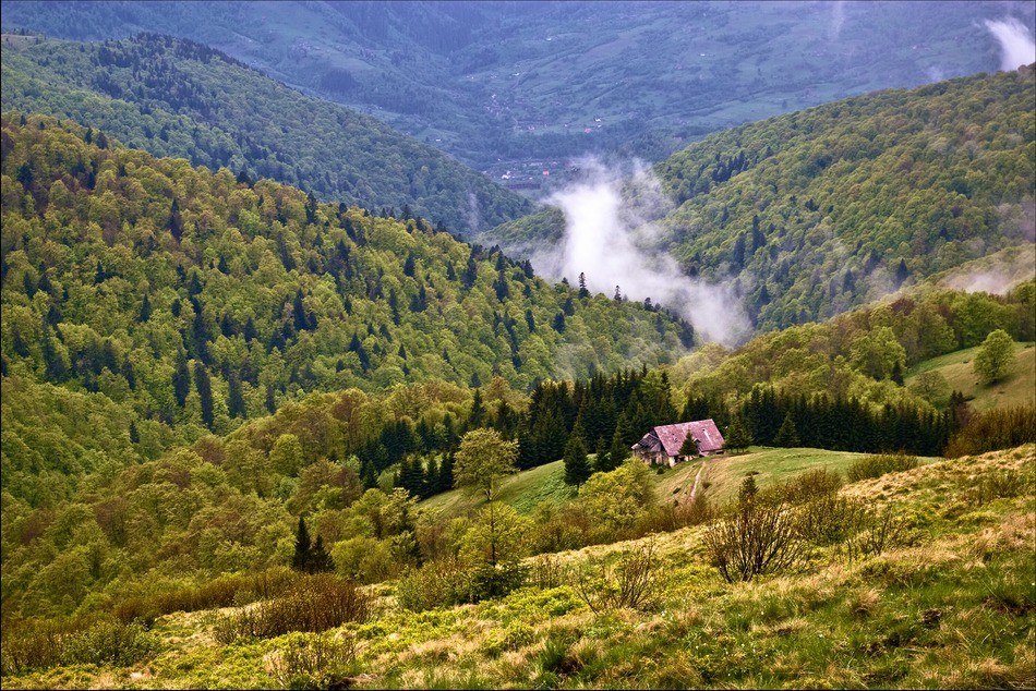 Взобравшись повыше..