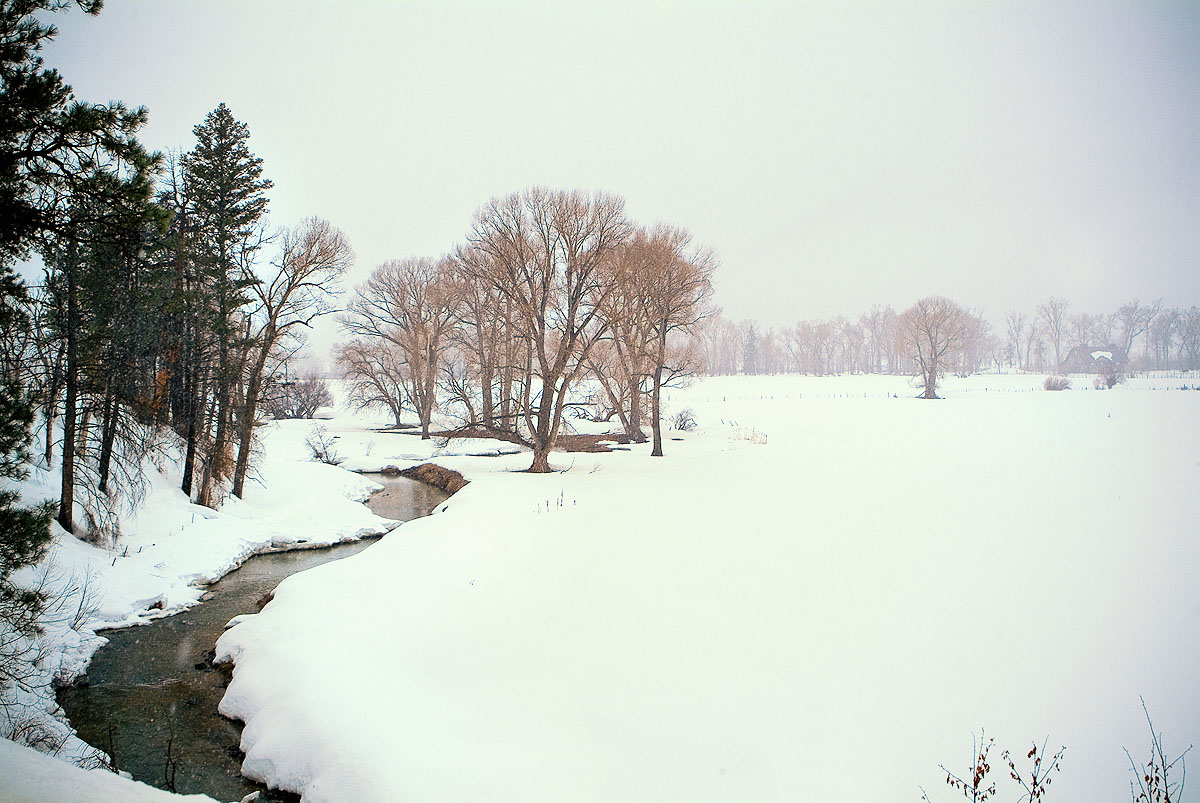 у пасмурной речки