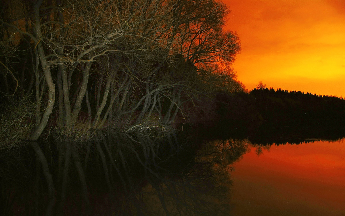 стражи водной глади