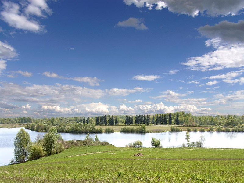 Весеннее настроение