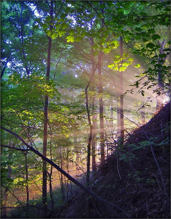 раннее утро в соборе...