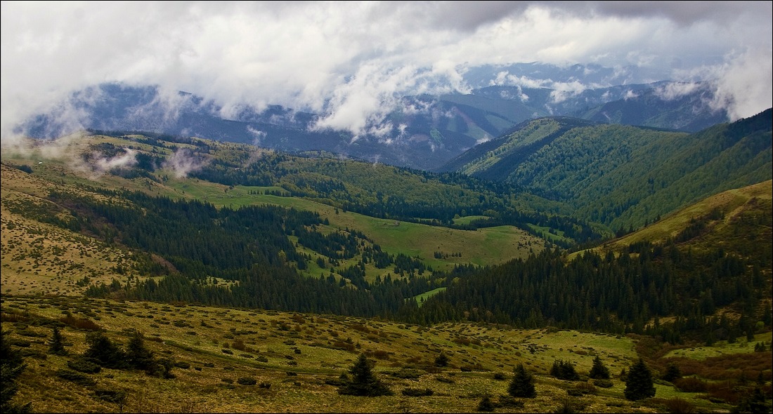 Просторная..