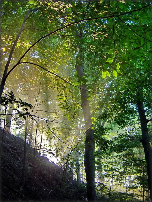 раннее утро в соборе... 2