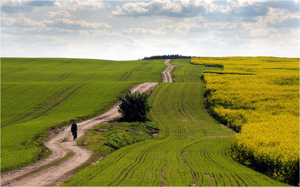 велодорожка